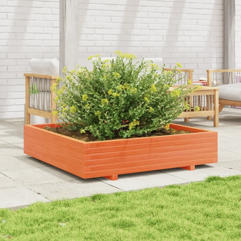 Fioriera | Cassetta per fiori | Vaso Giardino Marrone Cera 110x110x26,5 cm in Legno di Pino