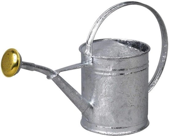Giocello di piccola taglia in acciaio inoxidabile verniciato 1 L grigio - 80300