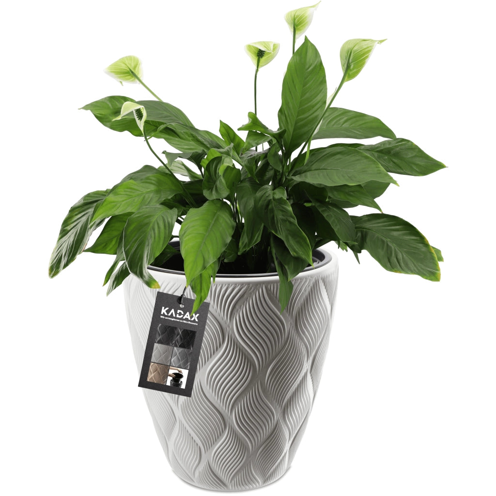 Vaso da fiori KADAX con inserto 32 cm, copertura in plastica alta