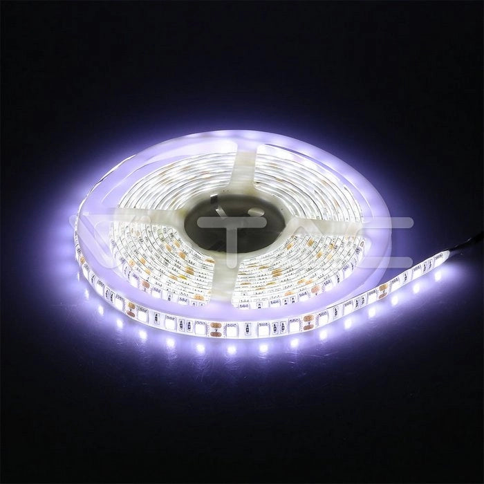 Striscia Strip LED SMD5050 11W/m 5m 60 LED/m 12V 6400K IP65  SKU212148