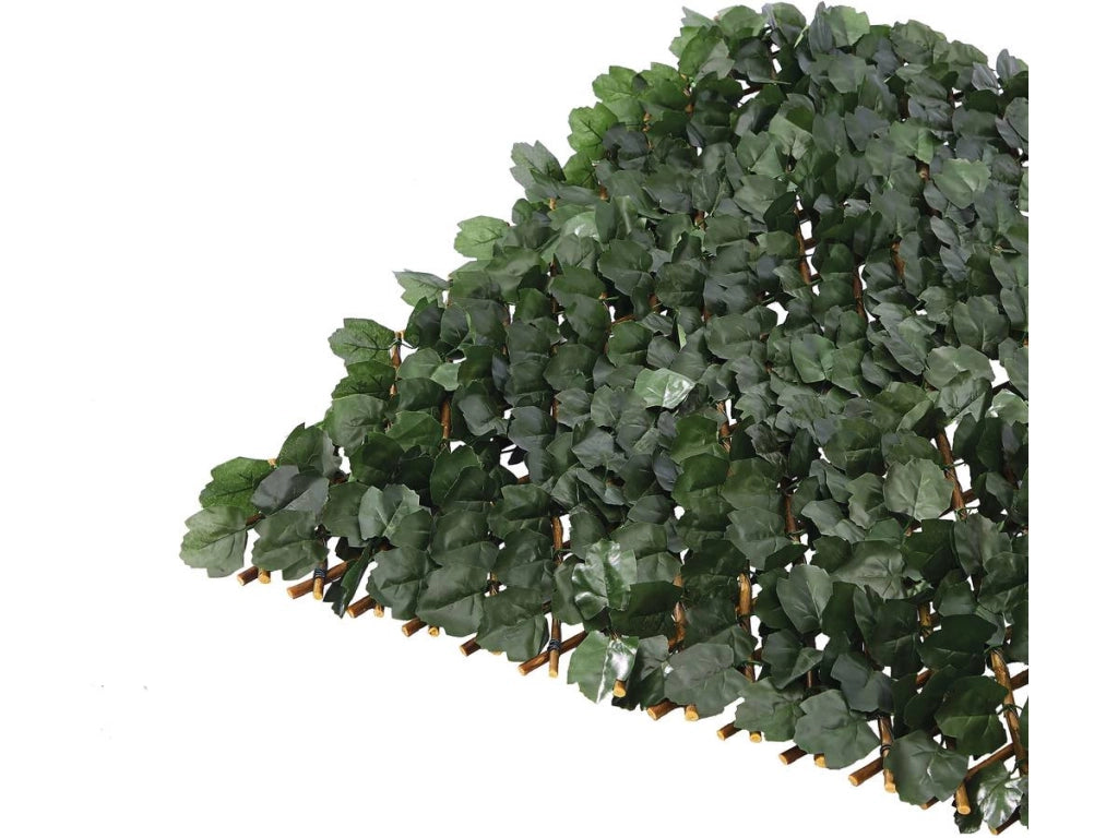 Recinzione a traliccio di salice "Fragon" - 200 x 100 cm - Verde