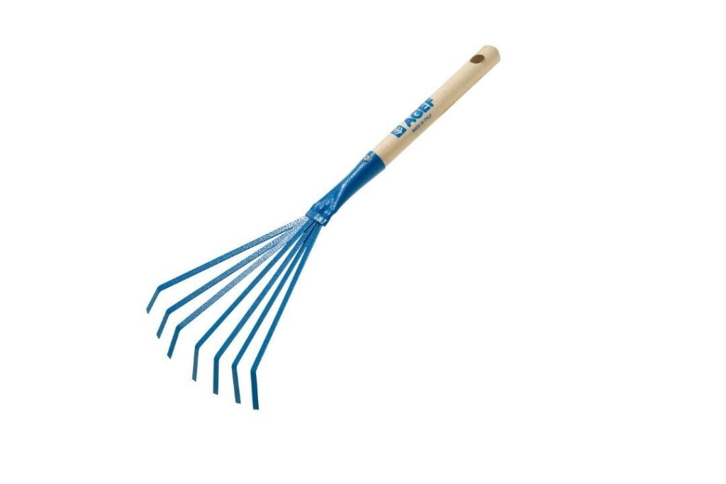 Scopetta Con Manico Verniciato Set 5 Pezzi - Agef