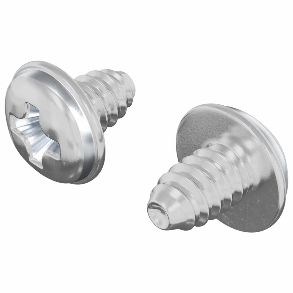Viti a Brugola 2 pz Argento M4 x 5 mm Ferro CFW5376175