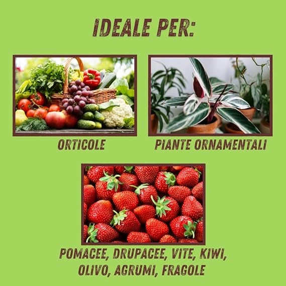 PROPOLI VITHAL BIO  ml.250    VITHAL