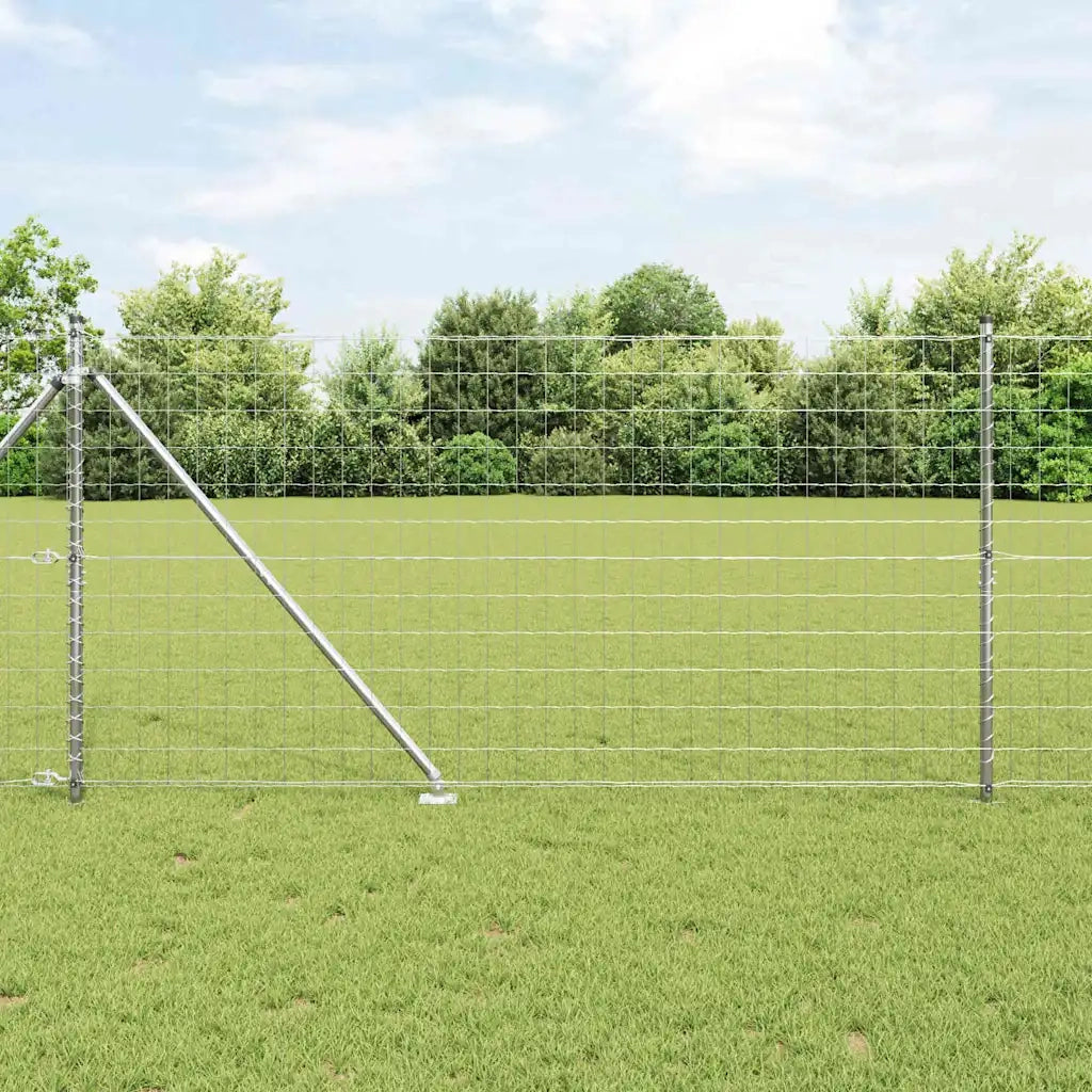 Recinzione con Posto Argento 1,2 x 25 m Acciaio