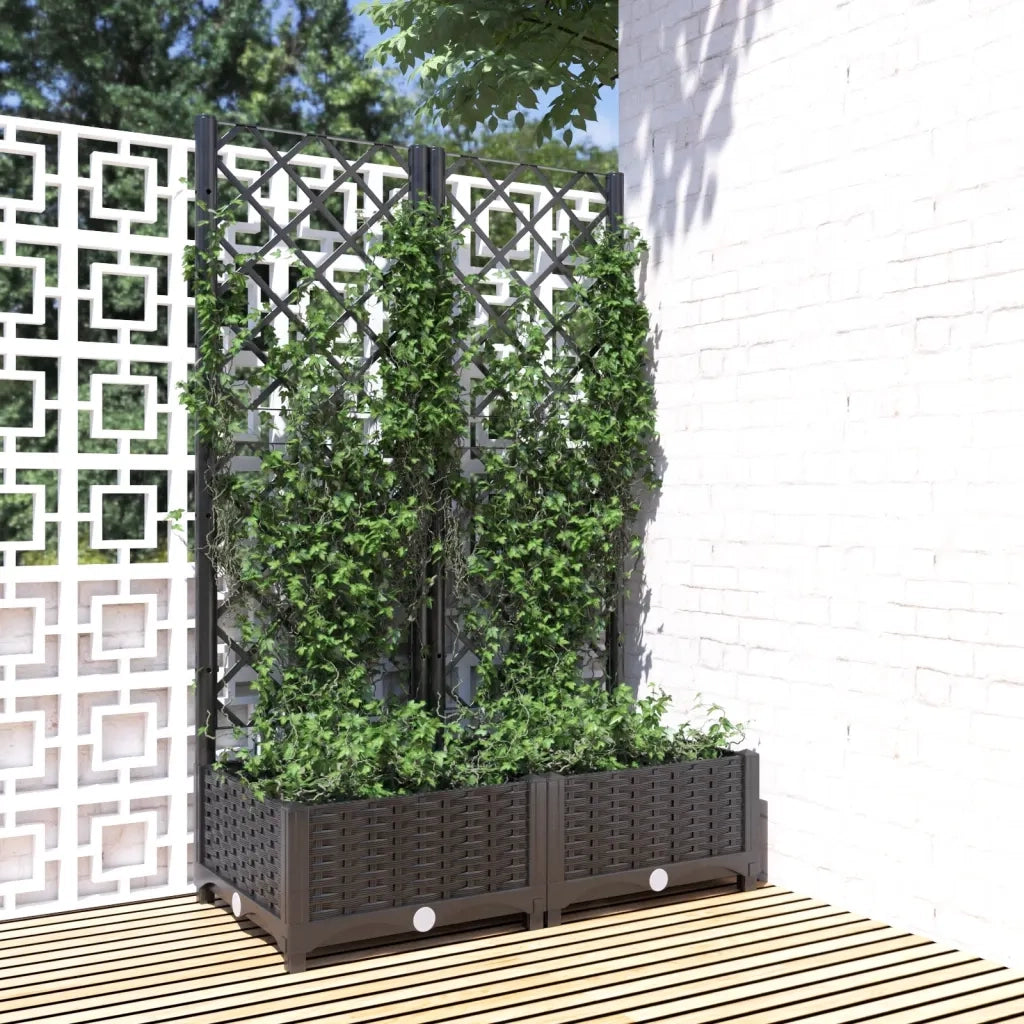 Fioriera | Cassetta per fiori | Vaso da giardino con traliccio nera 80x40x121,5 cm PP