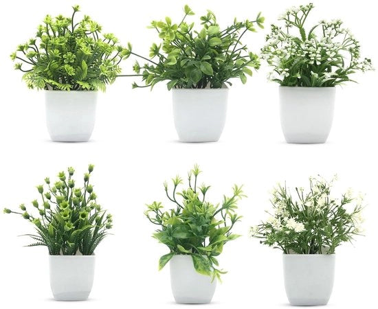 Collezione di piante artificiali miniatura - Set di 6 vasi verdi - Decorazione per casa e ufficio - Adatto per ogni spazio