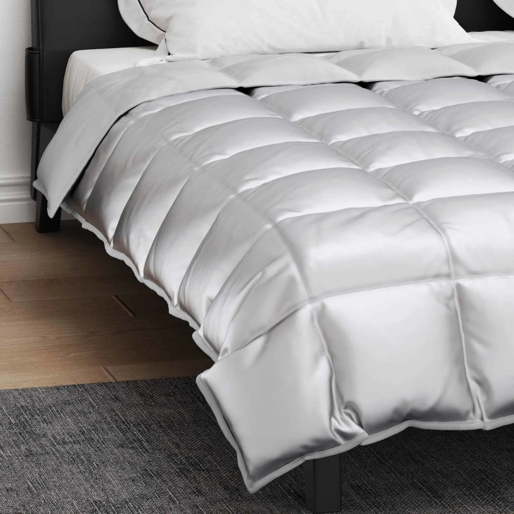 Piumone | Duvet Invernale Argento 200 x 240 cm Satin e Micropile