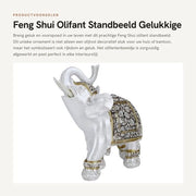 Decorazione da parete in cera - Statuetta di un elefante - Decorazione per casa - Regalo per amici - Dimensioni 13,5x6x14 cm