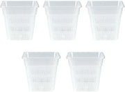 Transparante Orchideeënpotten - Set van 5 - Ademend - Hoogwaardig PP-materiaal - 10 x 9 x 9,8 cm