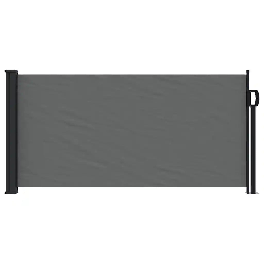 Tenda da sole laterale retrattile antracite 100x300 cm 4004278