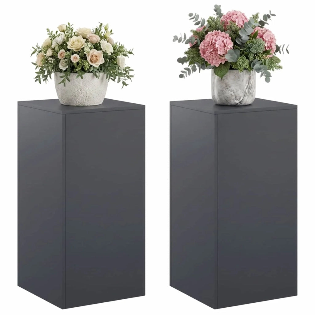Supporto per piante 2 pcs Antracite 40 x 40 x 80 cm 8012549