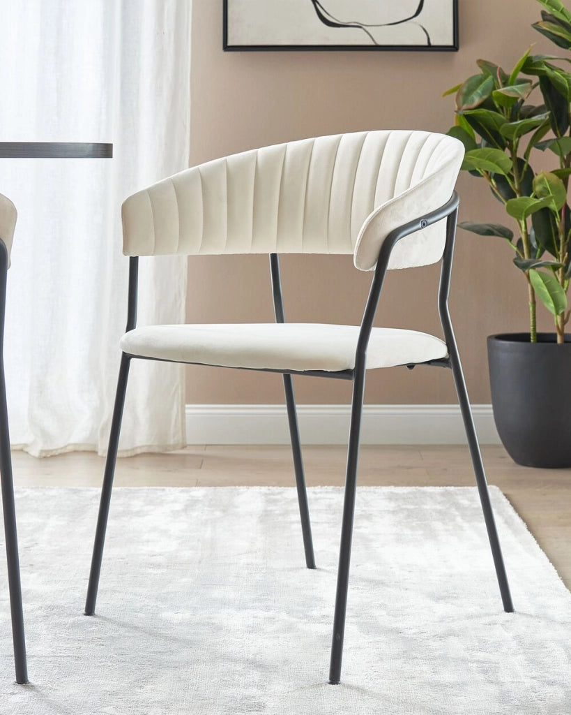 Set di 2 sedie da pranzo in tessuto vellutato bianco sporco  Rivestimento in metallo nero Gambe con braccioli Schienale curvo Design moderno e contemporaneo