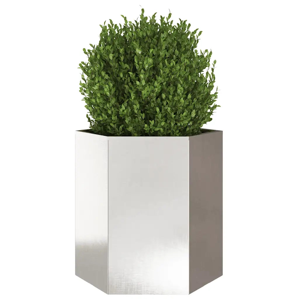 Fioriere da Giardino 2pz Nera Esagono Acciaio inossidabile 851117