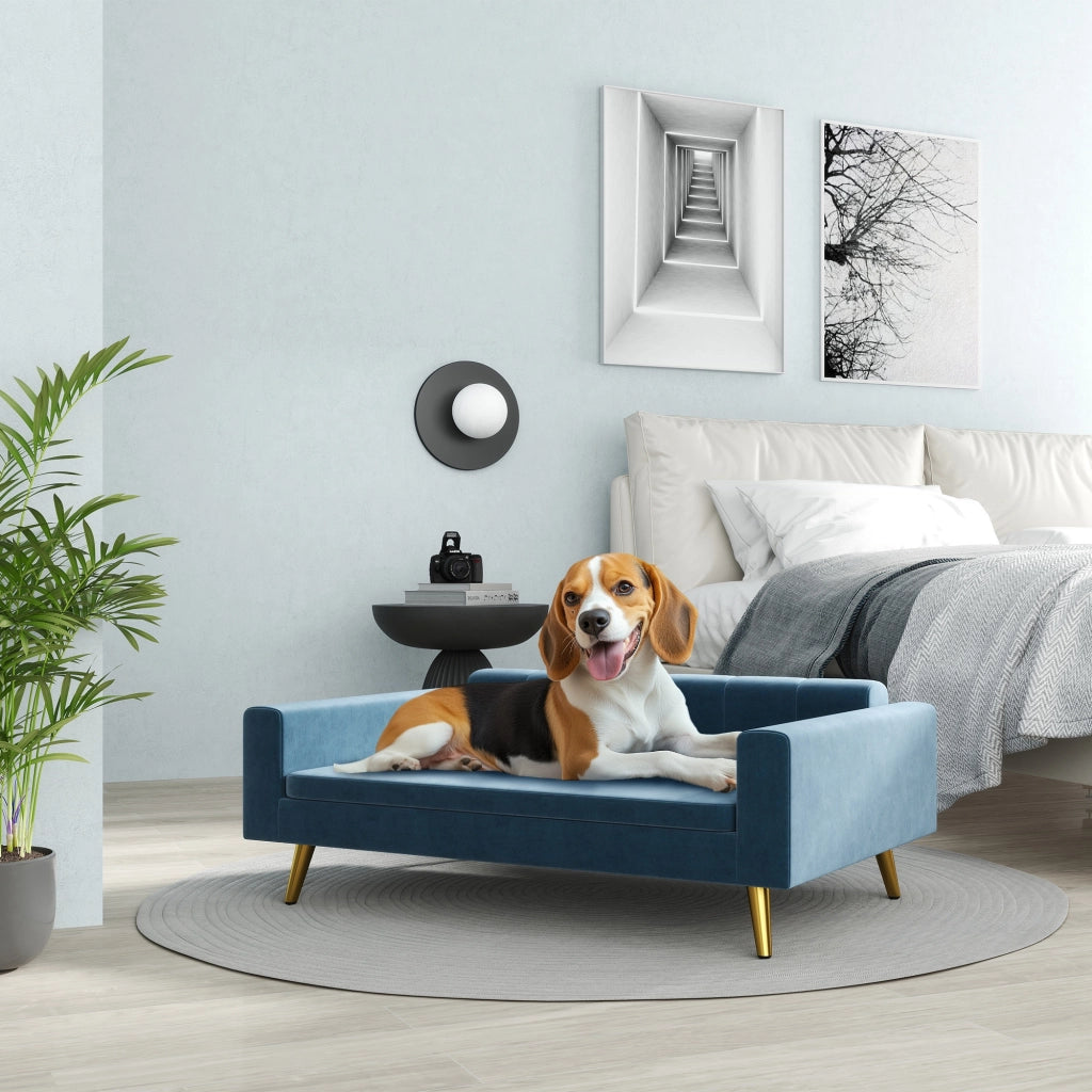 Letto per cani imbottito con cuscino ¨C Zephmum ¨C Blu velluto metallo dorato 94x60x32 cm
