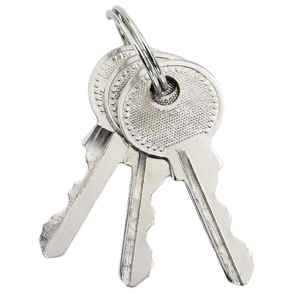 U Lock con Chiavi 2 pz Ottone Ferro CFW9189121