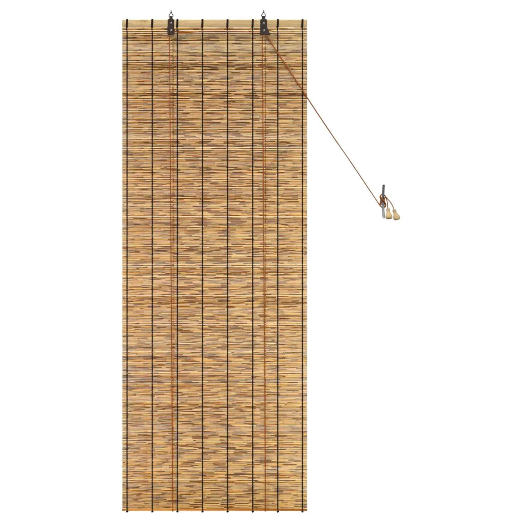 Tenda a rullo Marrone 60 x 160 cm Giunco 42034653