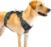 Accessorio per motocicletta, regolabile, senza marmitta, medio, nero