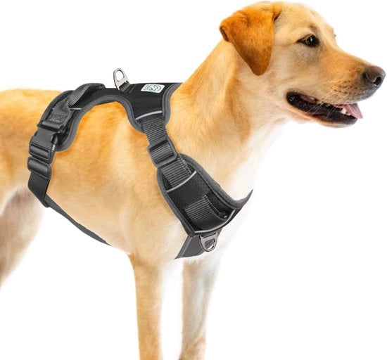 Accessorio per motocicletta, regolabile, senza marmitta, medio, nero