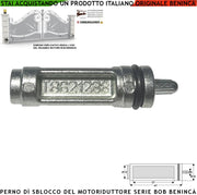 Nottolino Inserito Nel Motore BOB della Benincà Tramite Leva Sblocca in Emergenza  Libera il Cancello in Mancanza di Rete Elettrica Cilindro 9686876 Costruito in Alluminio Perno Rigato x Aggancio Leva