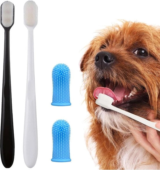 Set di spazzole per la cura dei denti per cani e gatti - 4 pezzi - con materiale riciclabile - super morbido