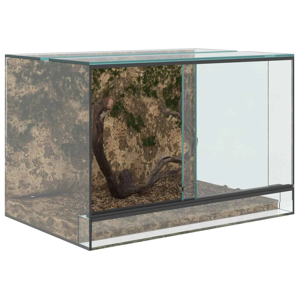 Terrario con archiviazione Trasparente 60 x 40 x 40 cm Vetro CFW6758429