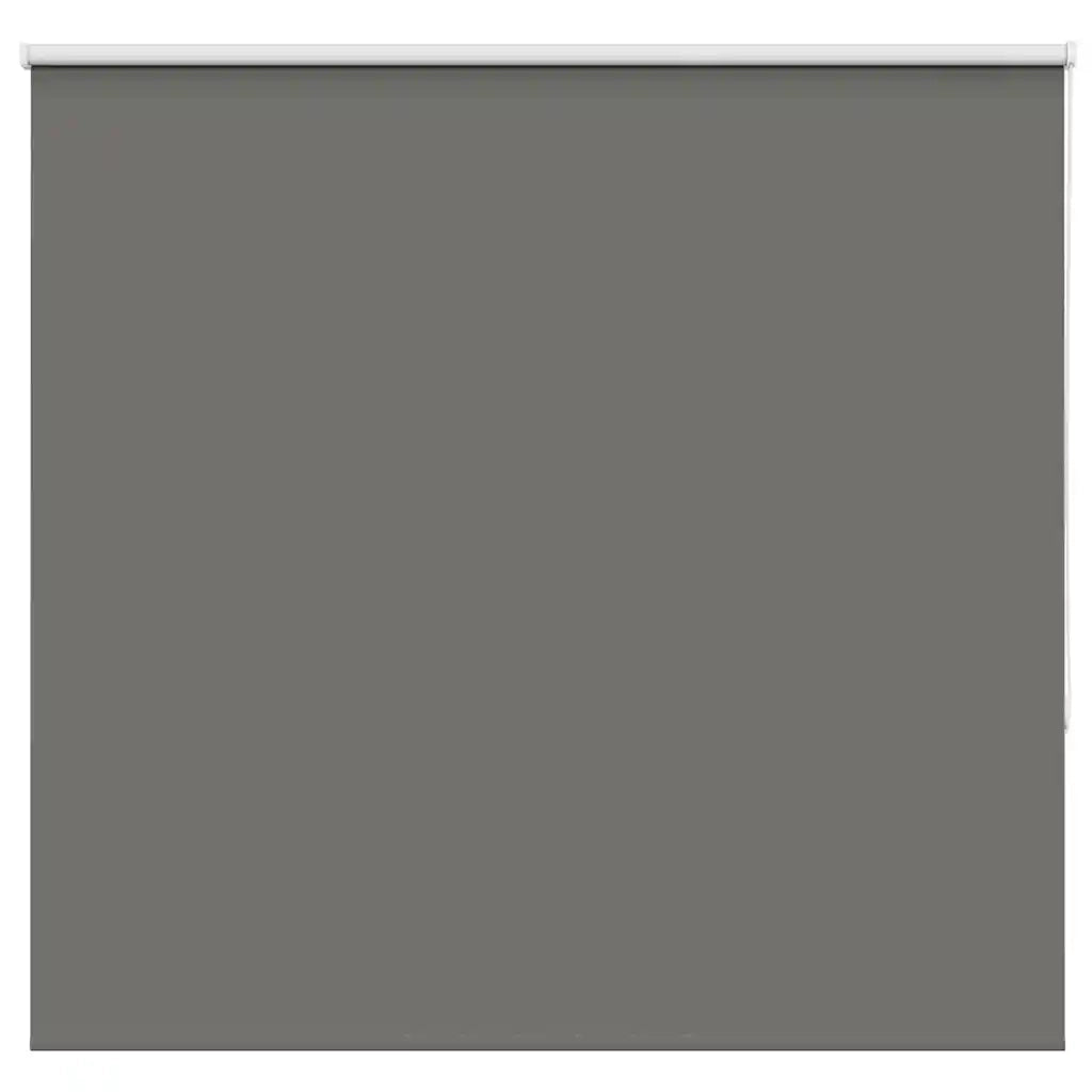 Tenda a Rullo Oscurante 165x130 cm Larghezza Tessuto 161,6 cm