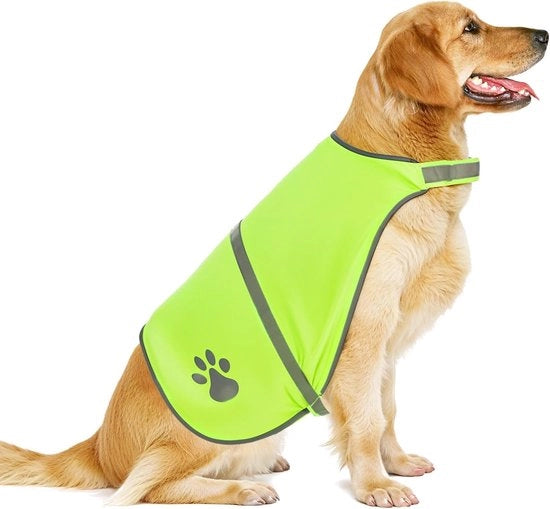 Vest di sicurezza per cani - giacca di sicurezza - giacca riflettente - giacca per cani adattabile per attività all'aperto - passeggiate in condizioni di oscurità (verde chiaro)