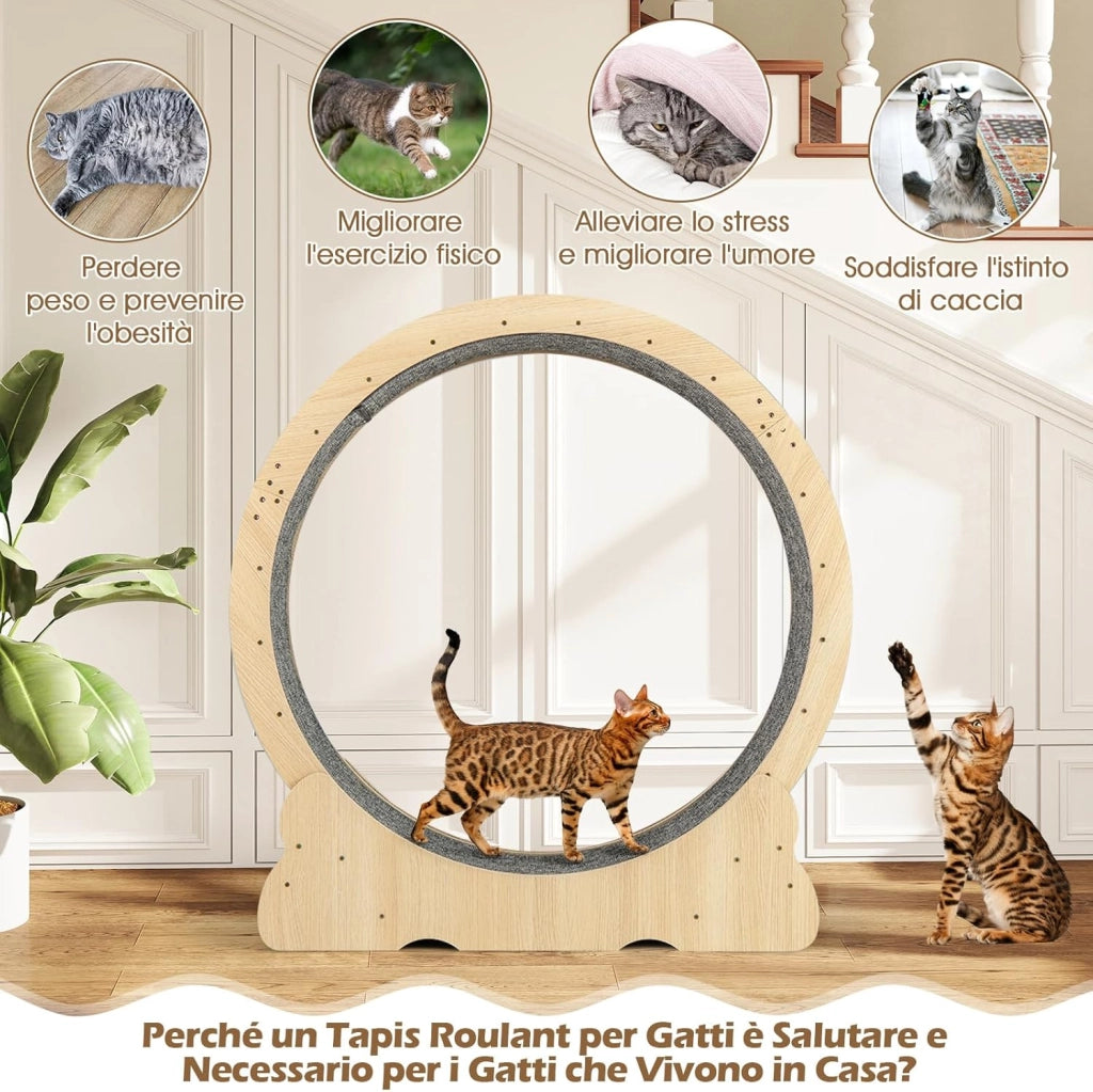 Ruota per Esercizio per Gatti da Interno 101 cm, Tapis Roulant per Gatti con Meccanismo di Blocco, Corsa con Moquette Rimovibile, Ruota di Allenamento in Legno a Rumore Ultra Basso