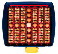 Incubatrice per Uova Automatica Professionale Borotto Real 49