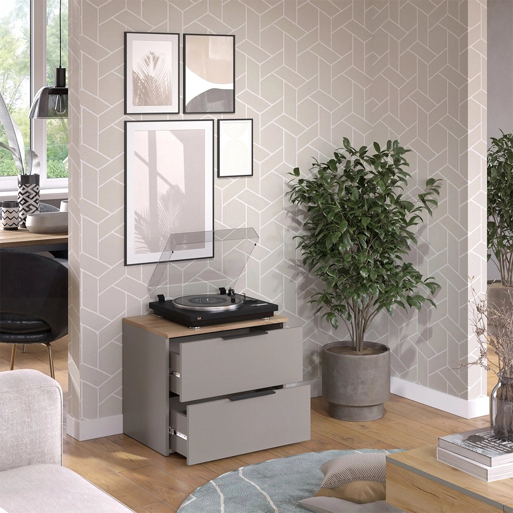 Vicco Cassettiera per camera da letto Grigio 60 x 50 cm con 2 cassetti