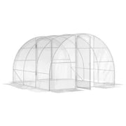 Serra da Giardino a Tunnel 3 x 3 x 2 m 9 m² con Porta a Cerniere Telo, in PE 150 g/m², per Verdure, Piante, Fiori, Trasparente