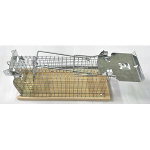 TRAPPOLA PER TOPI GALLERIA 15,0X6X6,5 CM- CHINA T MAX 6044- 24,0 pz