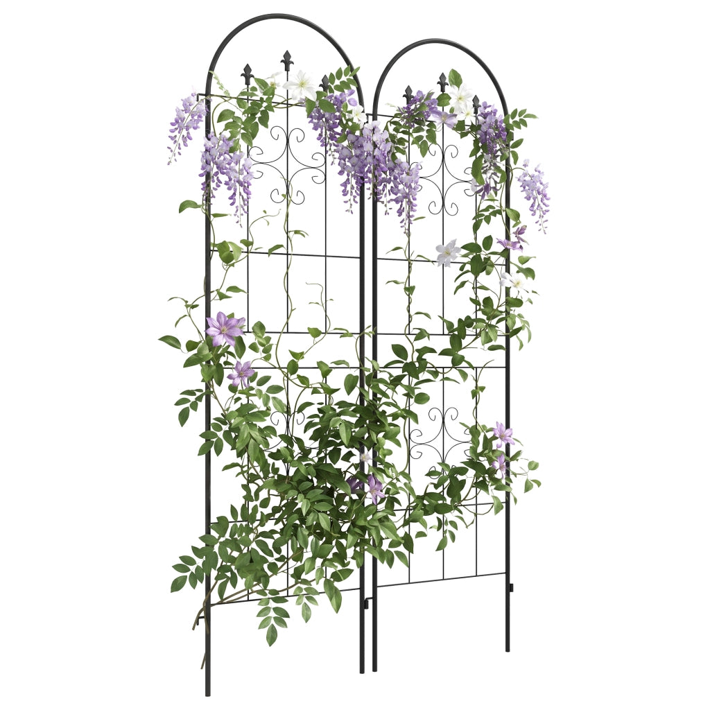Griglia per piante rampicanti ¨C zephmum ¨C nero 50x180 cm