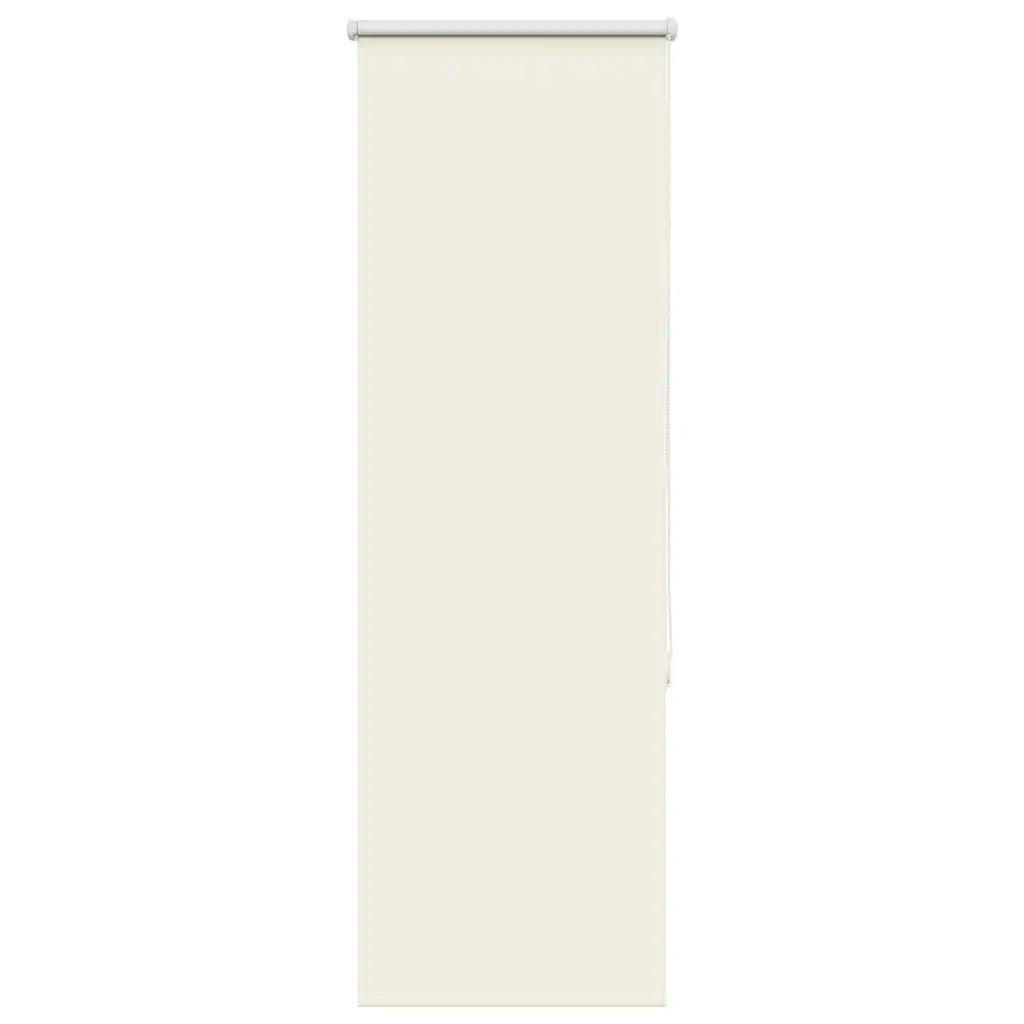 Tenda a Rullo Oscurante 60x175 cm Larghezza Tessuto 55,7 cm