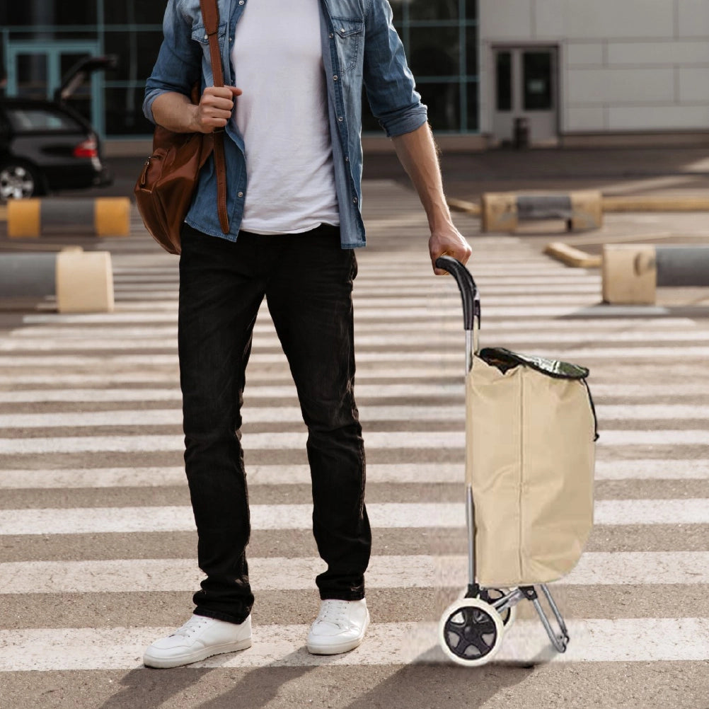 Carrello Porta Spesa Metallo Zincato Maniglia 2 Ruote Capacità borsa 33L