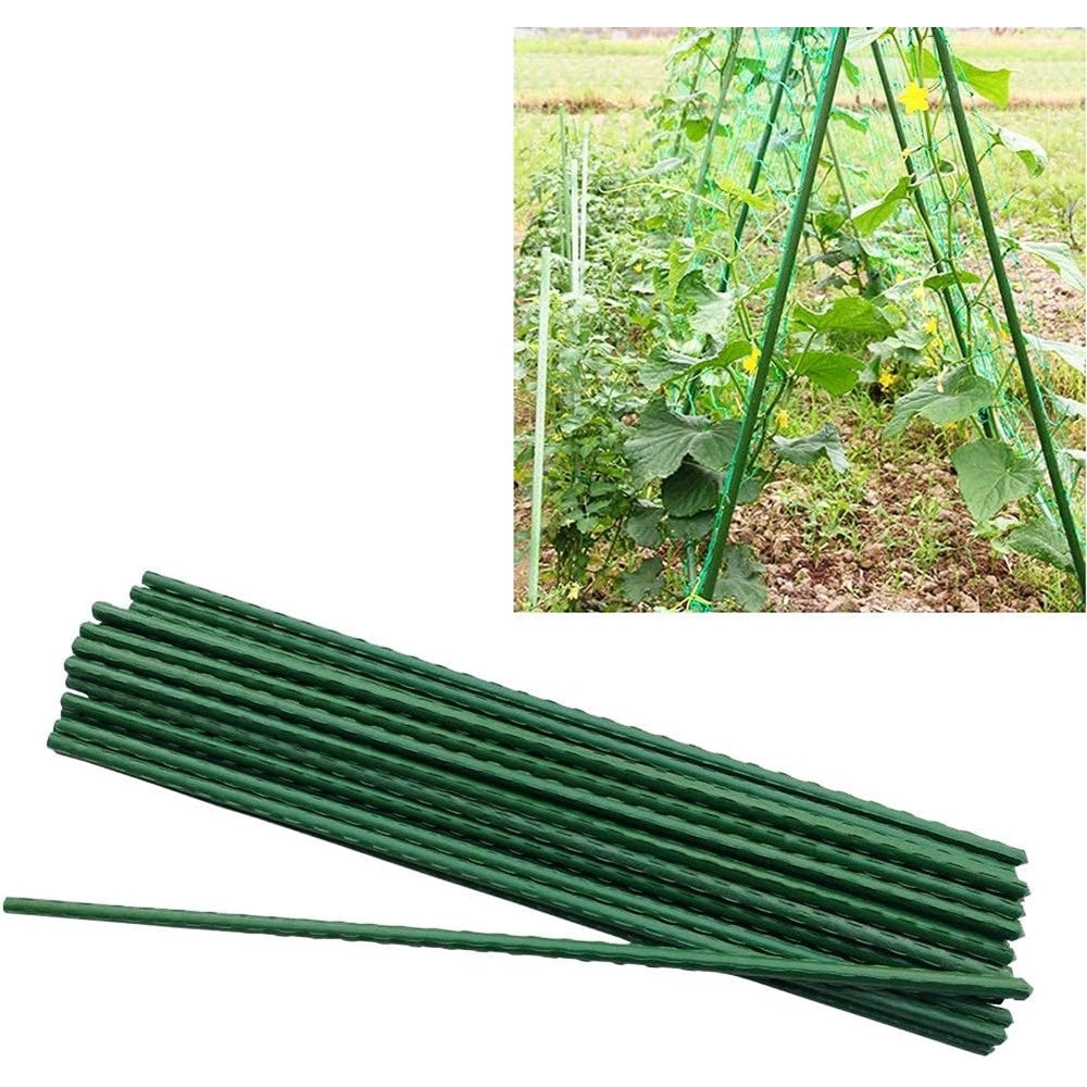 Trade Shop - Set 25 Pali Tutori Canna Per Sostegno Piante Rampicanti Pomodori H240cm ø20mm Grn29 124885 -