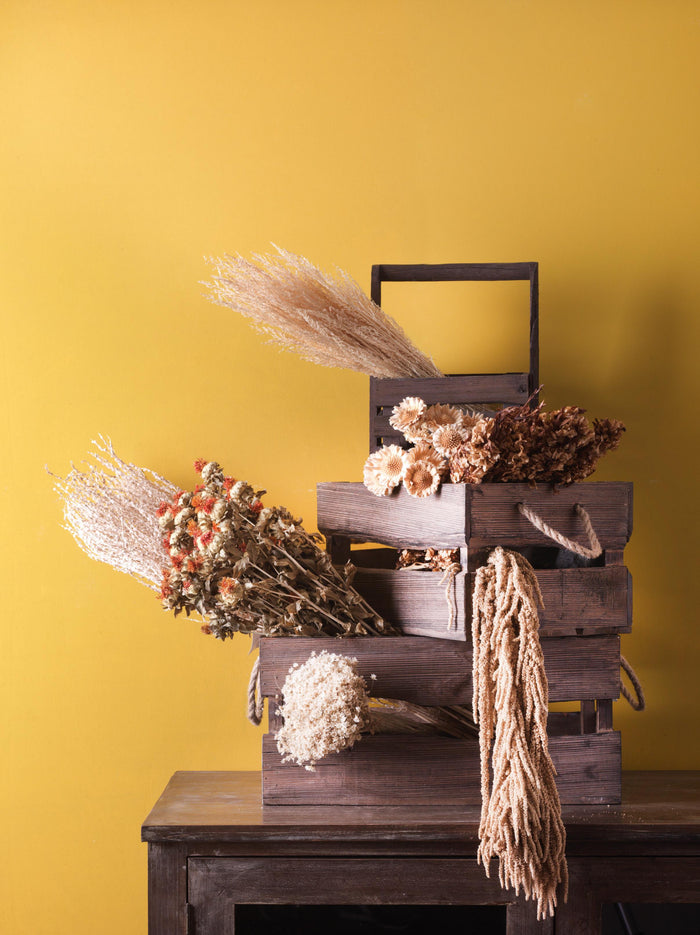 Set di 3 Cassetta in Legno con manici di corda