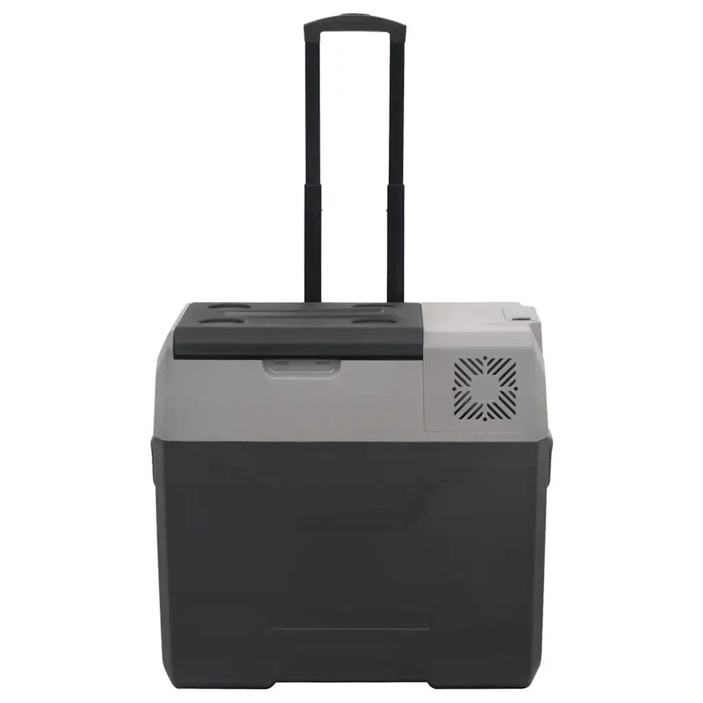 Borsa Frigo con Manico e Ruote Nera e Grigia 40 L Polipropilene CFW7809126