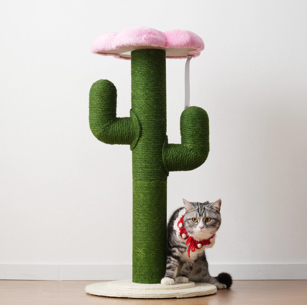 Tiragraffi a cactus verde 90 cm con sisal e sistema antiribaltamento