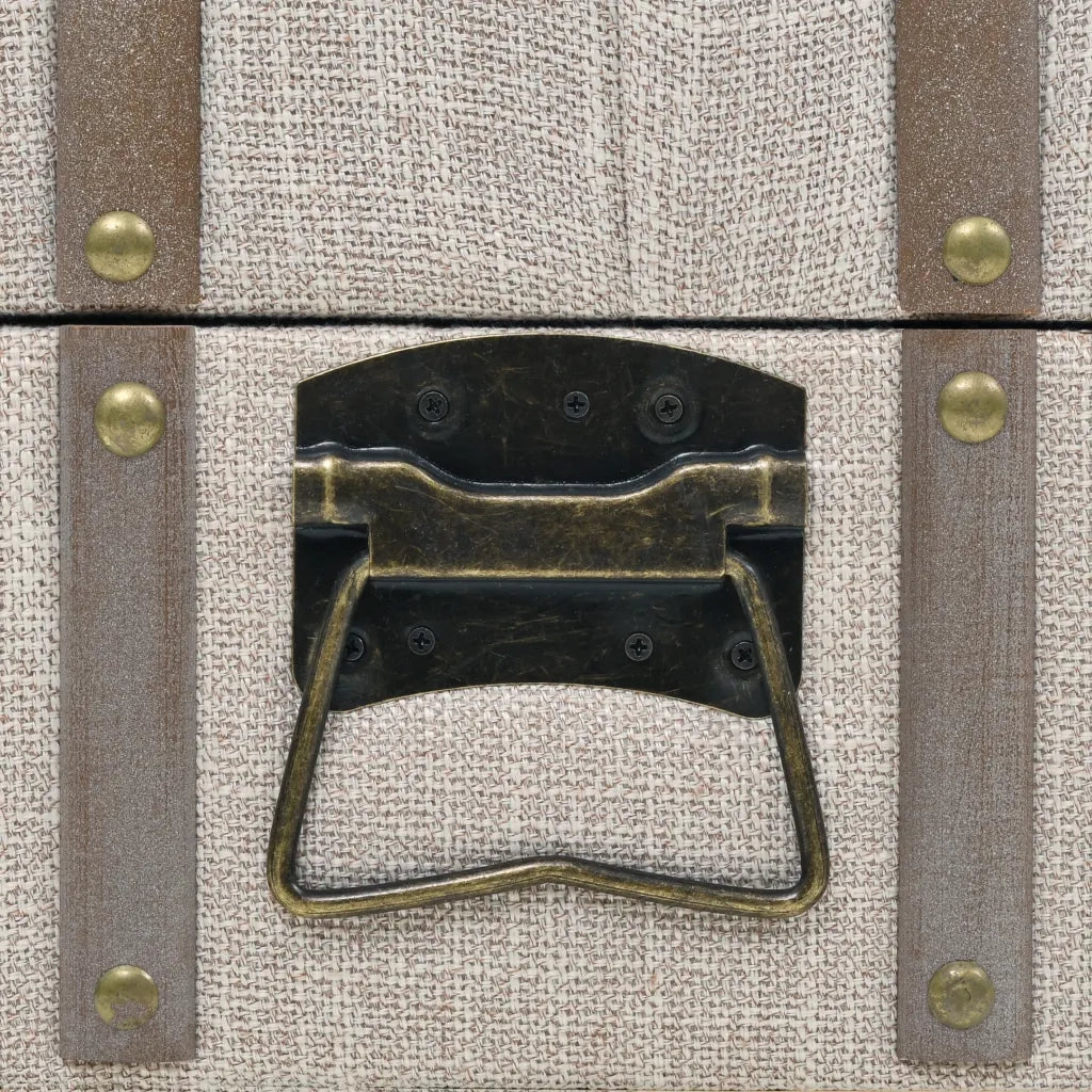 Cassapanca-Baule-Panca con Contenitore in Legno Massello e Acciaio 111x34x37 cm