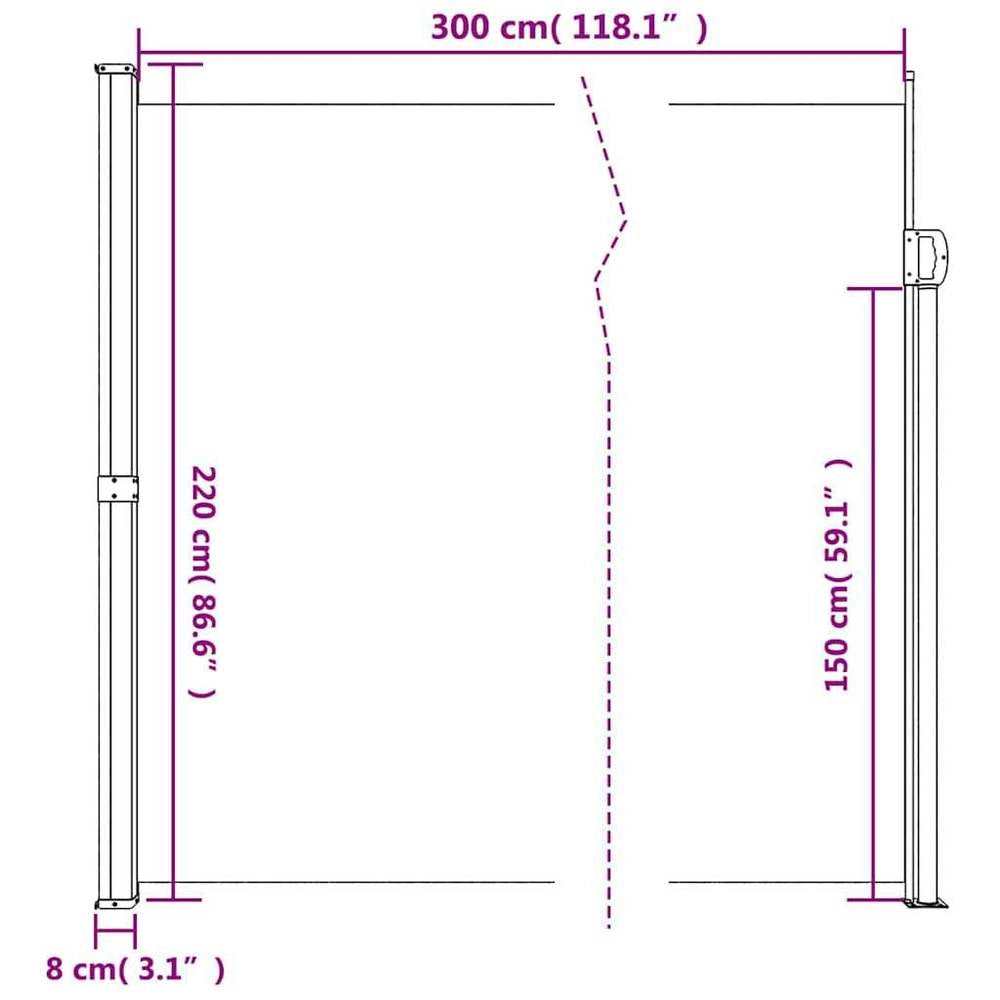 Extendable Side Awning, Anthracite, 220x300 Cm