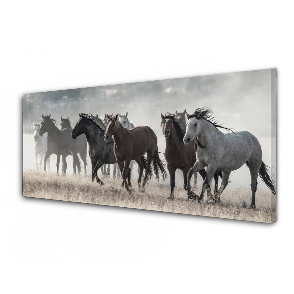 Quadro Moderno su Tela per Soggiorno e Camera da Letto 40x120 cm - Stampa Professionale su Telaio in Legno con Gancio Integrato - Dipinto Panoramico Decorativo da Parete. ASS5-DIS2