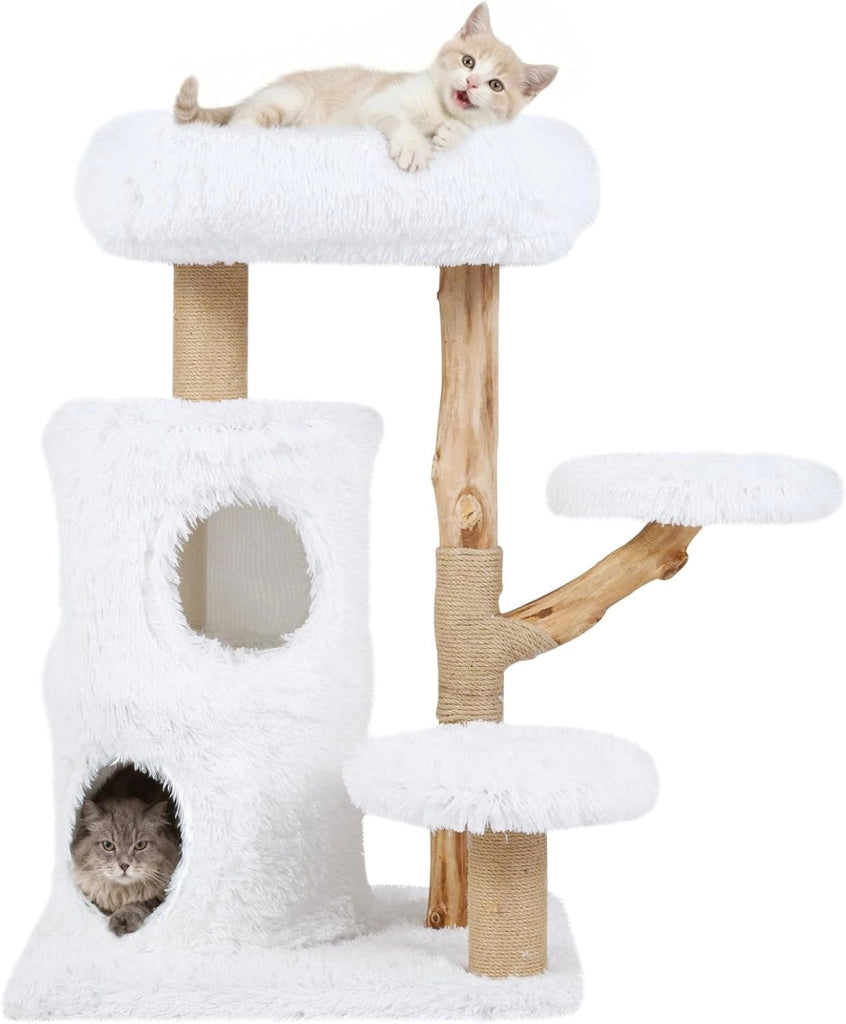 Albero per Gatti Moderno da Interno, Tiragraffi per Gatti con Rametti in Legno, Tiragraffi, Condo a 2 Piani, Posatoio Morbido in Cima e Piattaforme Imbottite, Centro Attività per Gattini