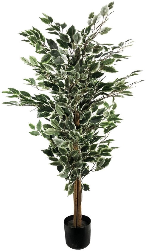 Ficus artificiale con foglie, diverse materiali, naturale, 130 cm alto