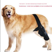 Abbigliamento protettivo per animali domestici con protezioni per arti e ginocchia per cani con lesioni ossee
