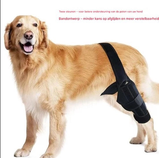 Abbigliamento protettivo per animali domestici con protezioni per arti e ginocchia per cani con lesioni ossee