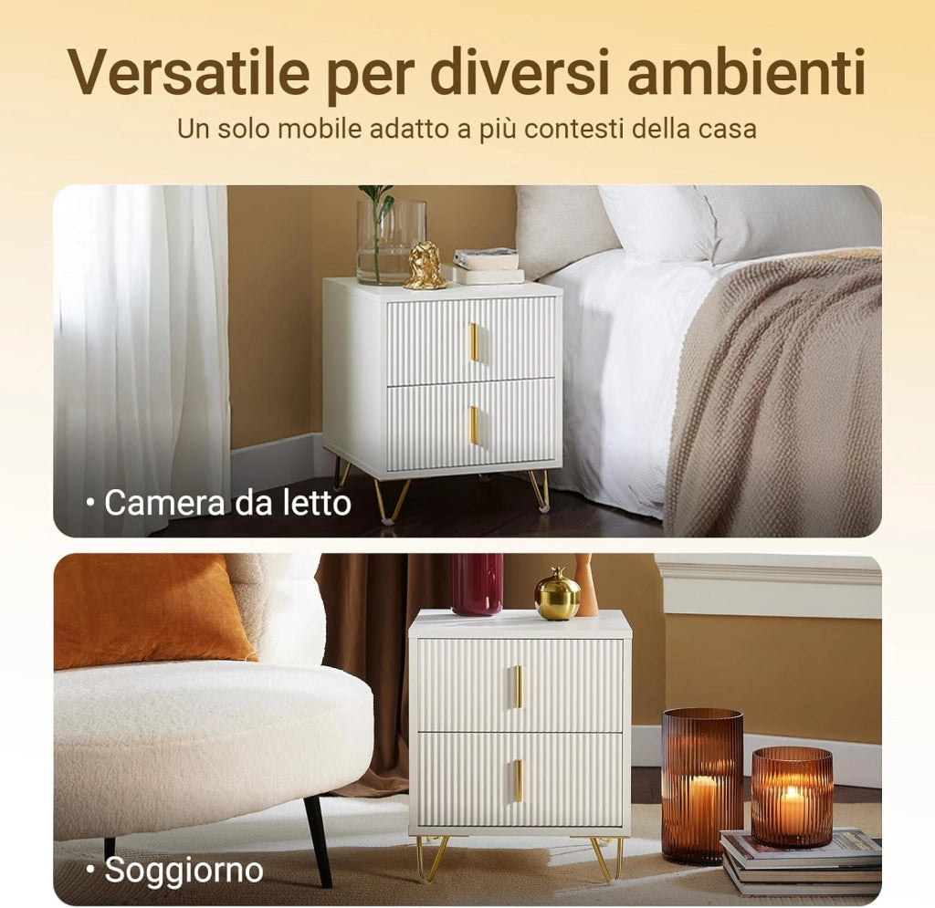 Set di 2 Comodino Camera da Letto - Comodino con 2 Cassetti, Tavolino Salotto - Moderna Cassettiera L40 x P40 x A47 cm Bianco FBT115-Wx2