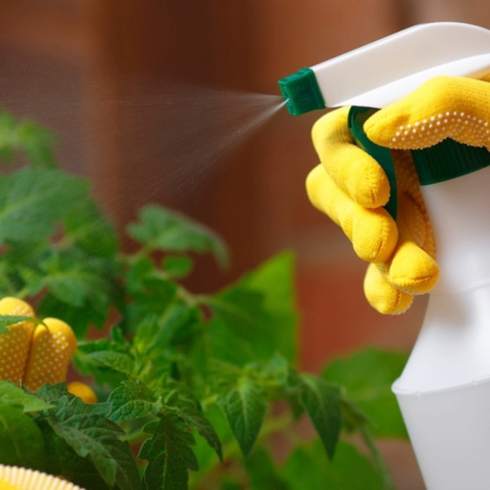 Insetticida protezione casa giardino antiparassitario potente multinsetto potente ekokiller