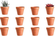 Set di 10 Mini Piantine in Terracotta con Fusto di Scarico - Vaso di Piante Riciclabile - Decorazione Interna e Esterna - Modello: 4.5 x 4 cm - Set da 10 pezzi